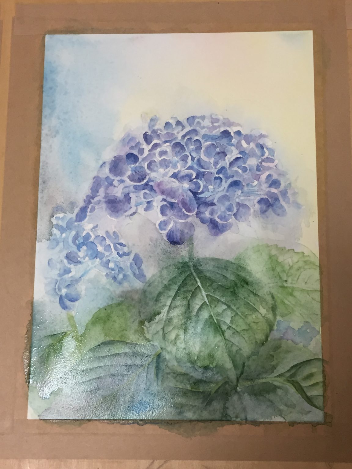 透明水彩 赤 青 黄 3原色で描く紫陽花 制作過程です そらいろ